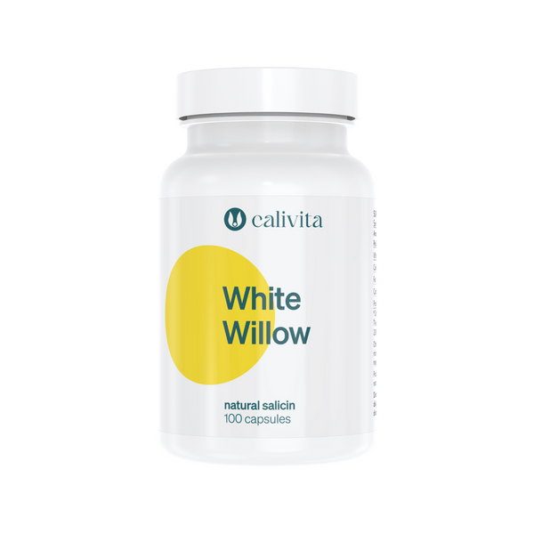 white_willow